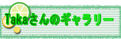 TakãM[
